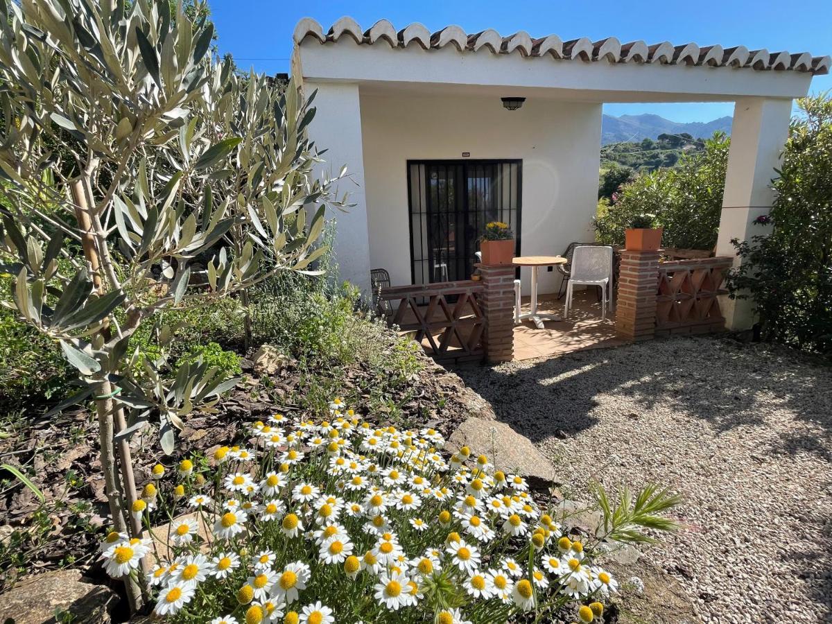 Casa Del Limon Apartamento Canillas de Aceituno Exterior foto